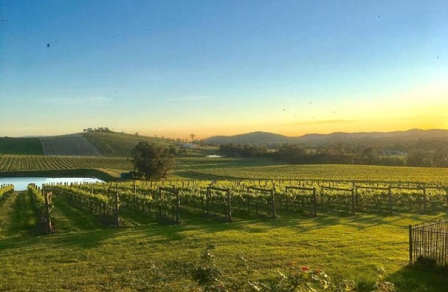 Mt Hope Estate Vineyard Accomodation