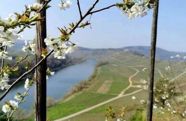 Kaliva Comfortable holiday residence