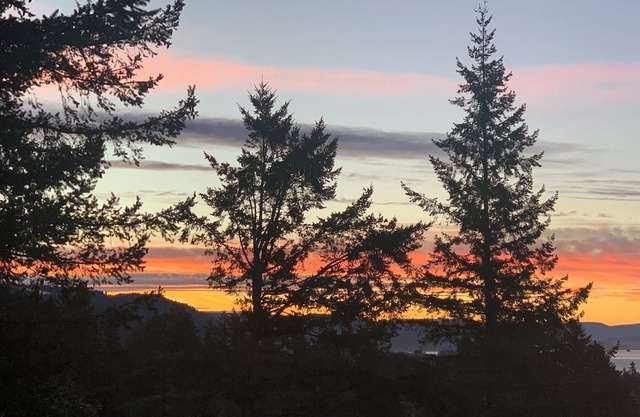 Charming guest House with Private Deck and patio. Amazing Views in Brookings