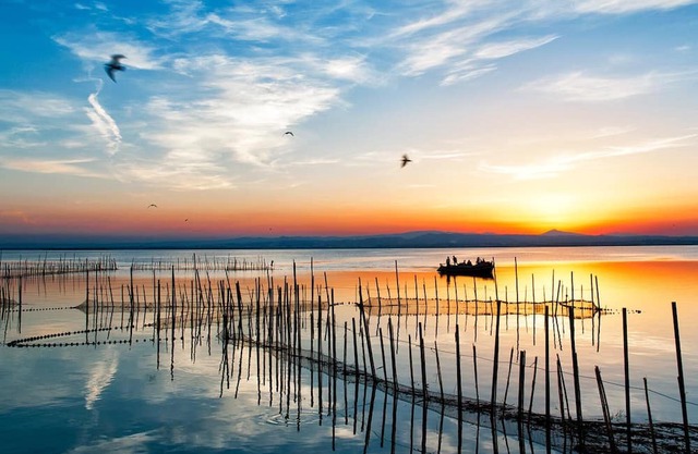 Suite Superior con Vistas Albufera Dreams Nature Suites