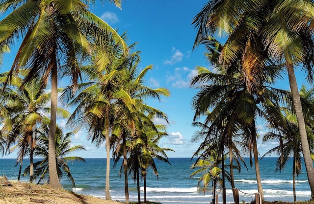 Casa Araçá na Bahia - Imbassaí - 15 Minutos a pé do rio e do mar