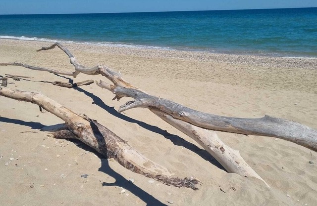 A little gem between NATURALISTIC OASIS & SEA with a large atrrealized terrace