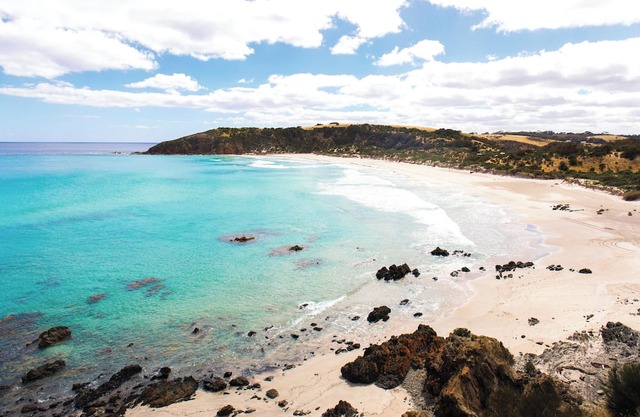 Large beachside Homestead, private apartments, fireplace, 3 min walk to beach.n