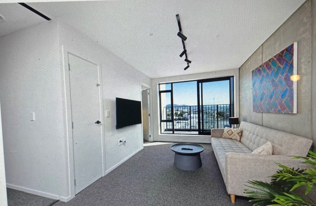 Modern sunny apartment close to central wellington