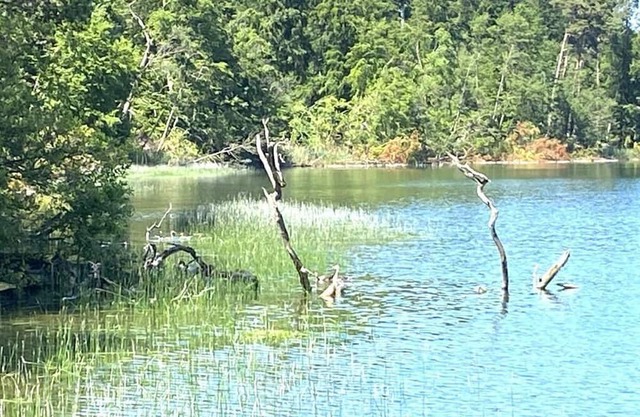 Tamika ball house at Lake Tollense