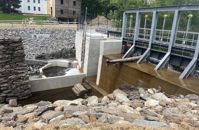 Camp at Shale Creek Homestead !NO FEES!