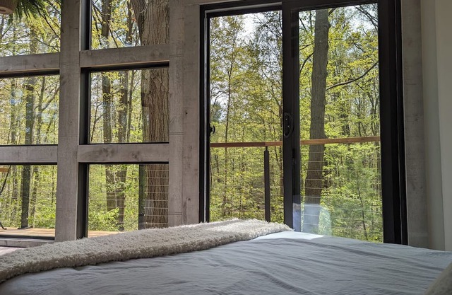 Modern Cabin in the Woods