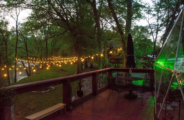 "Buzz-Worthy Retreat: Welcome to Honey Bee Way – Your Sweet Escape Awaits!"