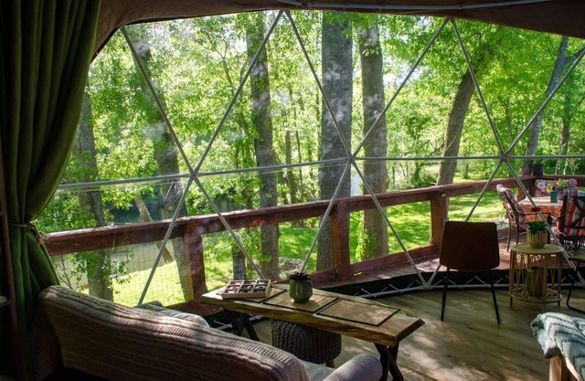 "Charming Toadstool Geodome Available for Rent: A Whimsical Retreat Awaits!"