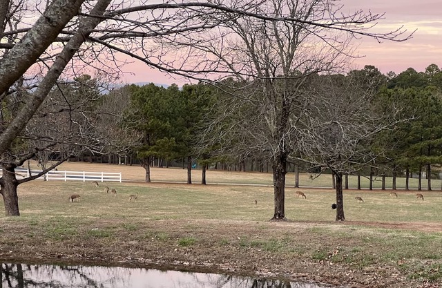Dry camping for the Eclipse!