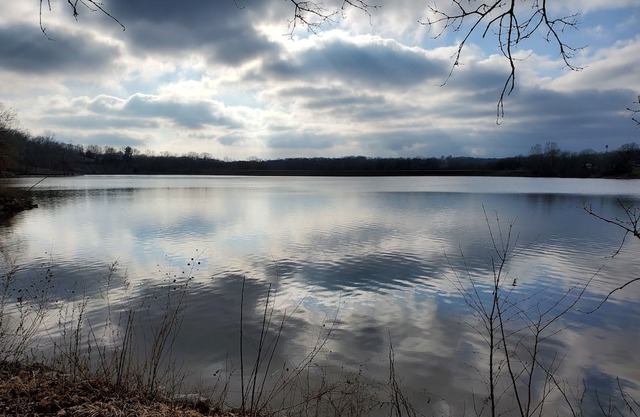 Quite private lake front property