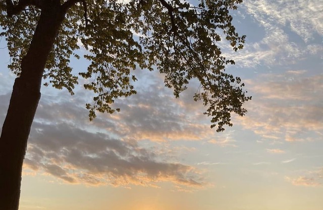 Sunsets on Palisades...Waterfront cottage on the Fox River/LLBDM with dock!