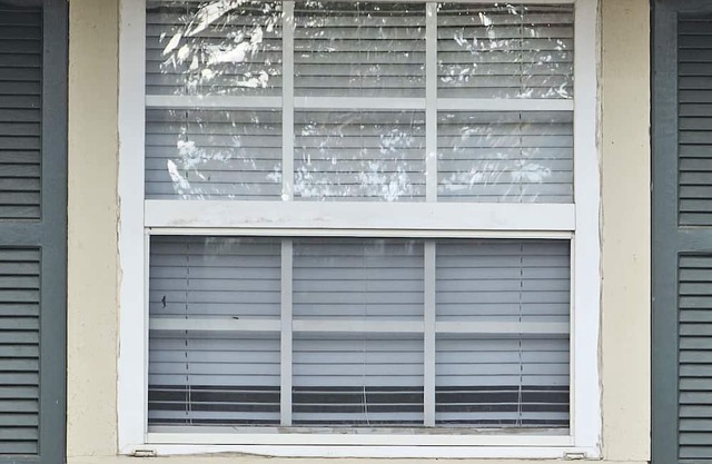 Quiet, in-law quarters meets studio apartment, tucked away yet near everything