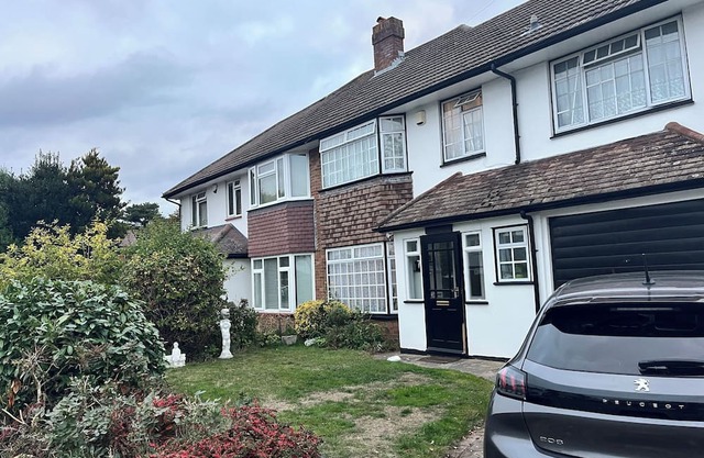 Love and Peace Petts Wood