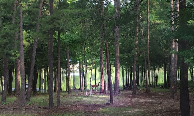 Merifield Acres Cabin | Kerr Lake Log Cabin on calm cove
