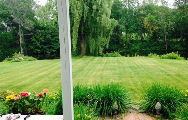 Exeter Apartment | The Birds Nest