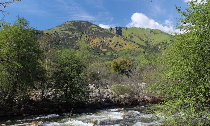 Three Rivers Cabin | Benjamin's Riverside Hideaway