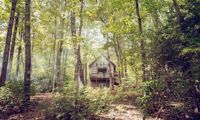 Burks Fork Cabin | Cute Cabin w/ hot tub, walk to Chateau Morrisette