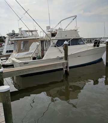 Cambridge Boat Rental | Knox Landing