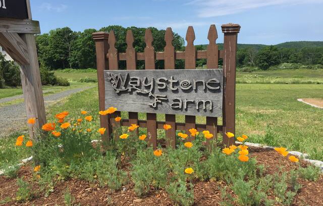 Guilford House | Stay in a Tiny House on our Sustainable Farm!