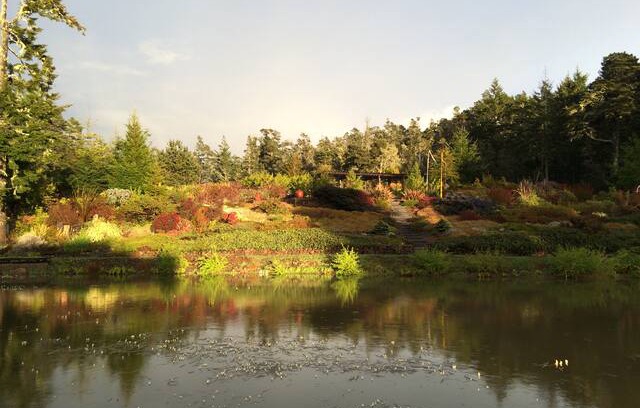 Point Arena Other | Frog Song Farm, gardens nestled in the forest.