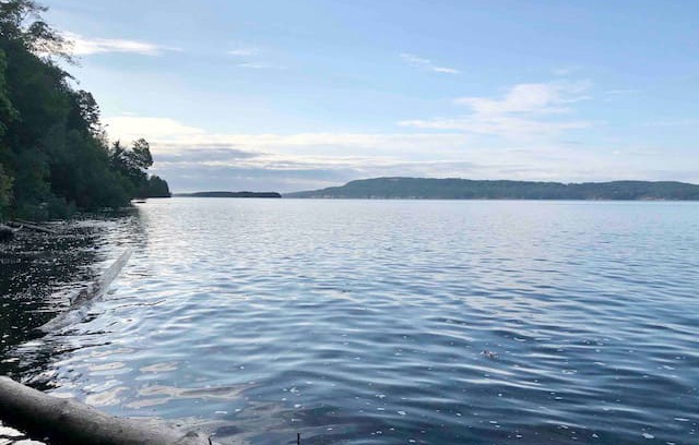 Salt Spring Island Cabin | The Seaview Cottage at The Hen and Hound Farm