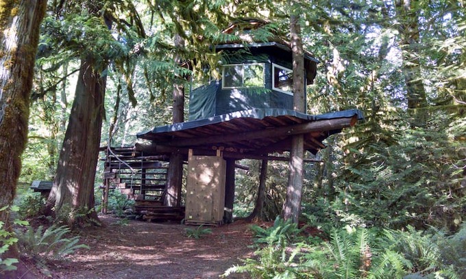 Concrete Other | The Eagle's Perch -- A Tree-House Experience