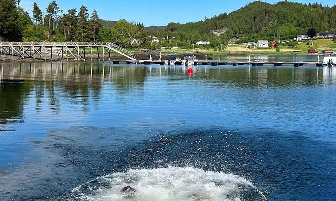 Leksvik House | 6 person holiday home in Åsenfjord