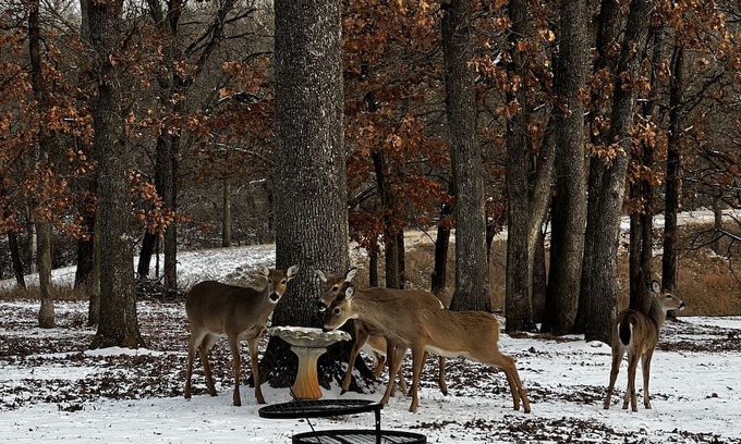 Stillwater House | Huge Game-room Style Barndo 1 Bedroom Farmhouse