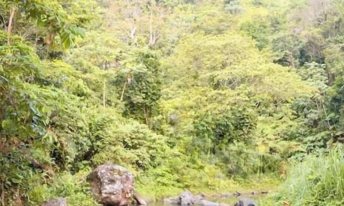 Sabana House | Camping Tent for 4 peoplenn