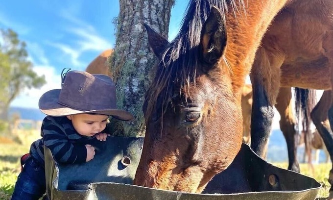 Rancho Queimado Cabin | Rancho Sol Poente - Rancho Queimado - SC