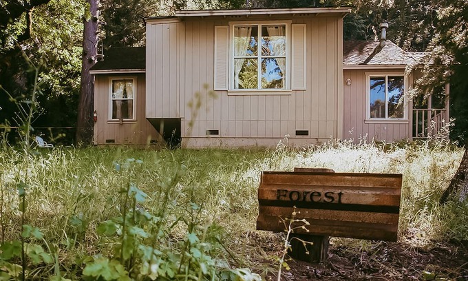 Hopland Cottage | Idyllic wine country cottage surrounded by fir & oak trees - water view patio