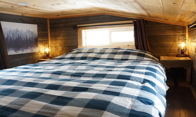 Pine Cabin | Tiny Cabin, Cozy in the Mountains - Pine Grove, Colorado