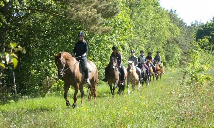 Barkholt Apartment | Ferienwohnung mit 2 Schlafzimmern in Ruhiger Idyllischer Lage, Nordseenähe