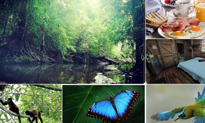 Nicoya Cabin | BluZone Jungle House AC/Wi-Fi