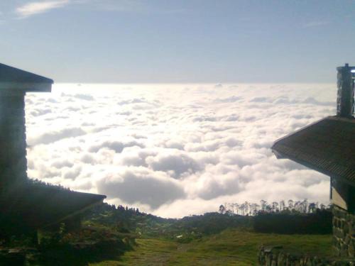 Kodaikanal House | The place the experience kodaikanal
