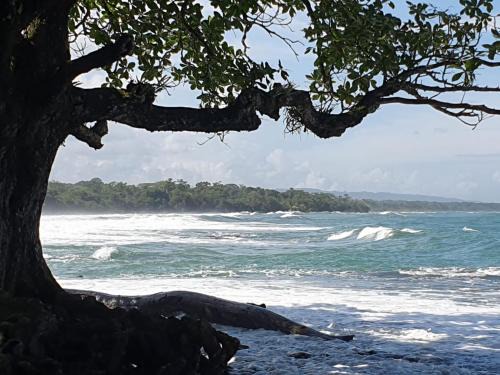 Cahuita House | Casa Clia